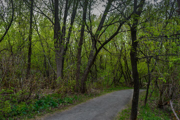 Obraz premium St-Charles River spring 2020