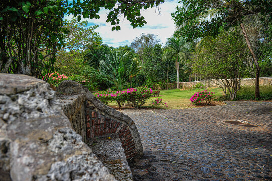 Beautiful details of the botanic gardens in Ocho Rios, Jamaica. High quality photo