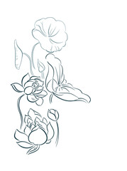 water lily card nature landscape view landscape card vector sketch illustration japanese chinese oriental line art