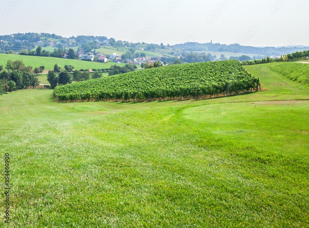 Sticker View of lush vineyard on a slope at Zlati Gric, a wine estate Slovenske Konjice in Slovenia