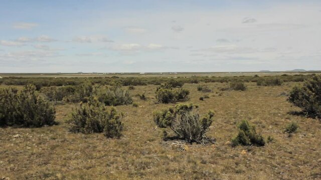 Patagonian Plateau Near Rio Gallegos, Santa Cruz Province, Argentina. 