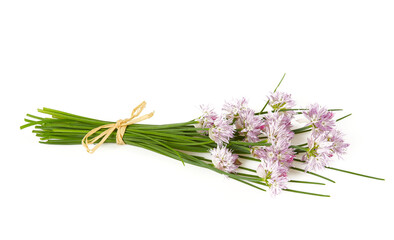Fototapeta premium blooming chives isolated on white background