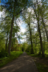 Fototapeta na wymiar beautiful path in a spring park