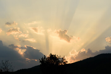 Sky with clouds and sunlight before sunset in the evening above the tree in summer season