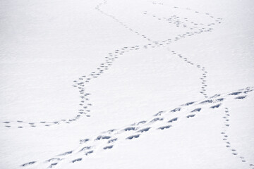 Human tracks in white snow with empty space