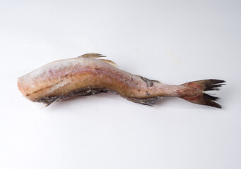 Frozen carcasses of pollock fish on a white background. Top view