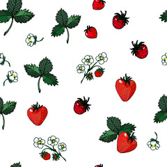 seamless background of hand-drawn berries, flowers and strawberry leaves, isolated on a white and colored background