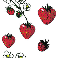 seamless background of hand-drawn berries, flowers and strawberry leaves, isolated on a white and colored background