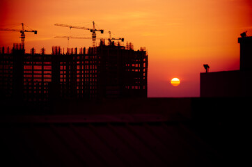 Industrial construction cranes and building silhouettes during sunrise