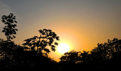 landscape view of sun set behind trees