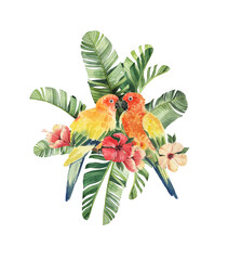 Print with beautiful watercolor parrots and tropical leaves. Tropics. Realistic tropical leaves. Tropical birds. - 354469595