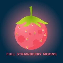 June full Moon Vector Illustration