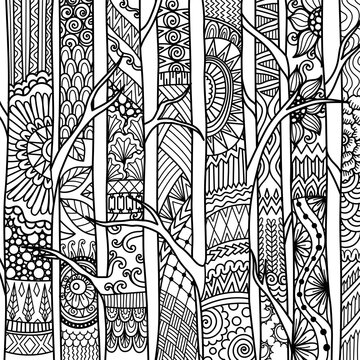 Line art of birch trees for printing on project, coloring book and so on. Vector illustration.