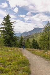 Fototapeta na wymiar Man hiking on trail near Sunshine Village Ski Resort in Banff National Park, Canada
