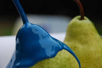 two pears in blue paint