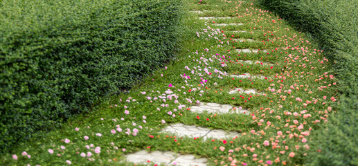 Obraz premium Simple pathway in home garden landscape