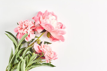 Naklejka na ściany i meble wedding concept. bouquet of peonies close-up on a white background. the layout of the summer Invitational. flat lay, top view