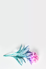 minimalistic layout of summer colors. painted with a pastel gradient. flat lay creative concept, copy space