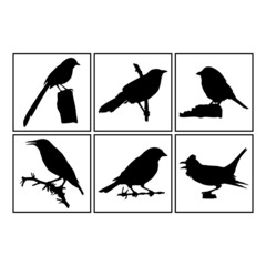 Set of Simple Vector Design of a Bird in Black
