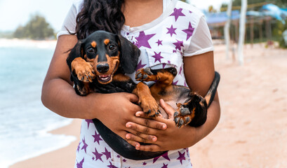 Portrait of smiling happy dachshund puppy looking into camera held by teenage owner hands 