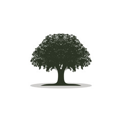 Shady oak tree logo vector illustration