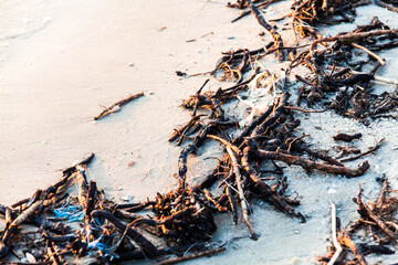Polluted shore view for good environment awareness photo