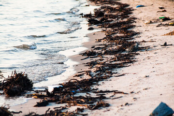 Polluted shore view for good environment awareness photo