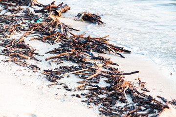 Polluted shore view for good environment awareness photo