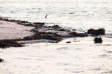 Polluted shore view for good environment awareness photo