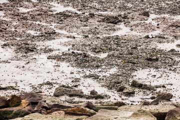 
View of blurry mud texture used for clay mask in beauty products