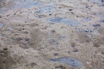 
View of blurry mud texture used for clay mask in beauty products
