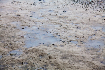 
View of blurry mud texture used for clay mask in beauty products
