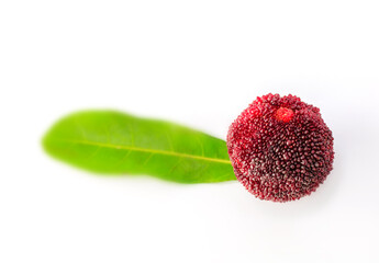 Red bayberry on white background