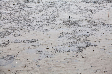 
View of blurry mud texture used for clay mask in beauty products