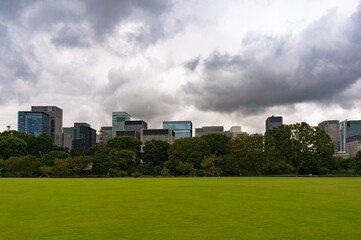 Large green empty park lawn with office building on the background