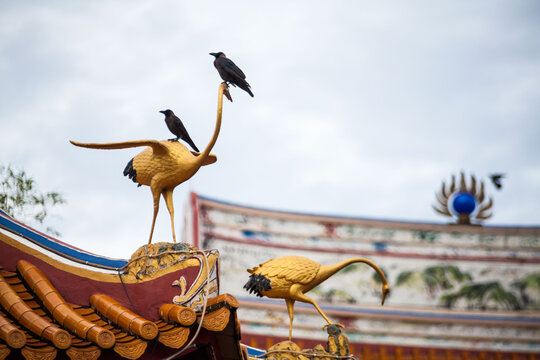 Real Bird On Top Of Chinese Temple Roof