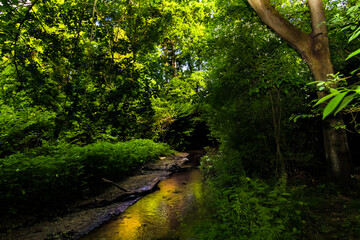 Obraz premium Valley Stream State Park Valley Stream, NY