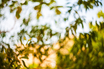 Blur abstract swirly bokeh background