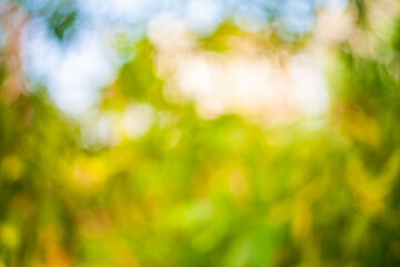 Blur abstract swirly bokeh background