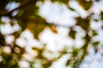 Blur abstract swirly bokeh background