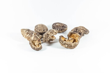 Dried mushroom in a white isolated background