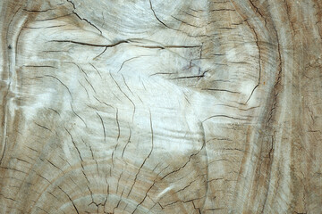 Old Wood Texture for Nature Background.