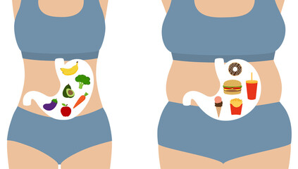 Healthy and unhealthy lifestyle. Comparison of slim woman with fruits and vegetables, fat woman with fast food. Diet choice, weight loss and nutrition concept. Flat vector illustration. Copy space.