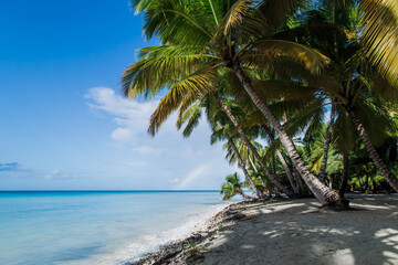Fototapeta na wymiar Caribbean sea tropical landscape in Dominican republic with palm trees, sandy beach, green jungles, rocks, blue sky and turquoise water on Saona island. Popular touristic destination for excursions