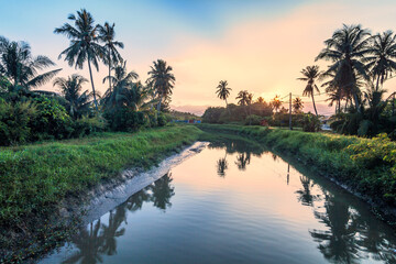 Obraz premium Village river reflection of sunrise view in Balik Pulau, Penang