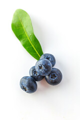 Fresh blueberries on a white background