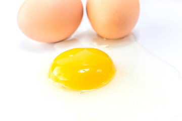 Farm fresh egg background material