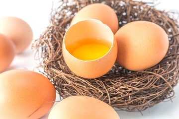 Farm fresh egg background material