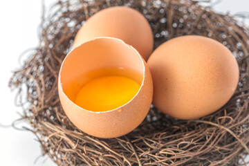 Farm fresh egg background material