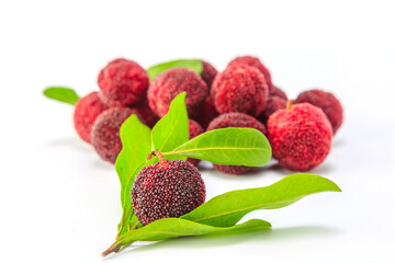 Organic bayberry on white background